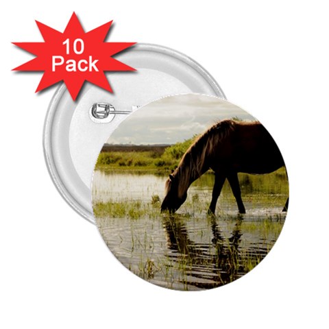 Horse in the Water 2.25  Button (10 pack) from ArtsNow.com Front