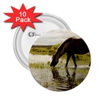 Horse in the Water 2.25  Button (10 pack)