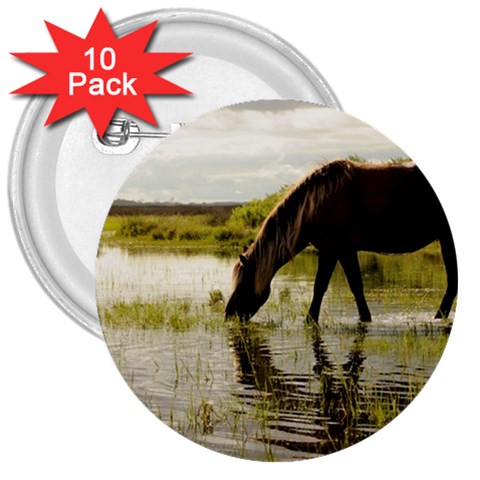 Horse in the Water 3  Button (10 pack) from ArtsNow.com Front