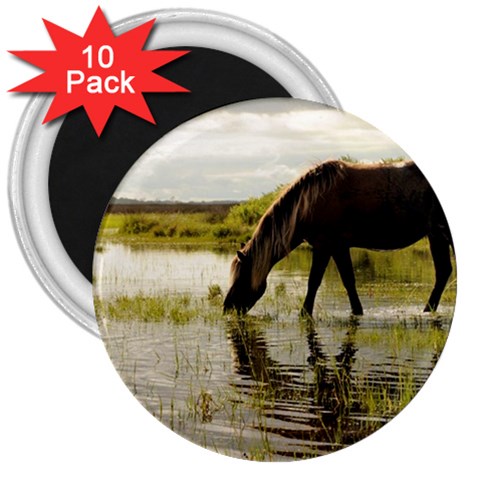 Horse in the Water 3  Magnet (10 pack) from ArtsNow.com Front