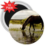 Horse in the Water 3  Magnet (10 pack)