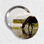 Horse in the Water 2.25  Handbag Mirror