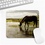 Horse in the Water Large Mousepad