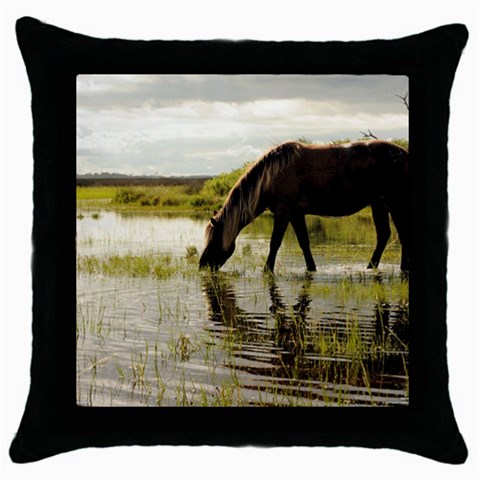 Horse in the Water Throw Pillow Case (Black) from ArtsNow.com Front