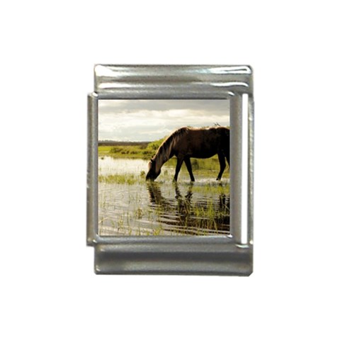 Horse in the Water Italian Charm (13mm) from ArtsNow.com Front