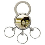 Horse in the Water 3-Ring Key Chain