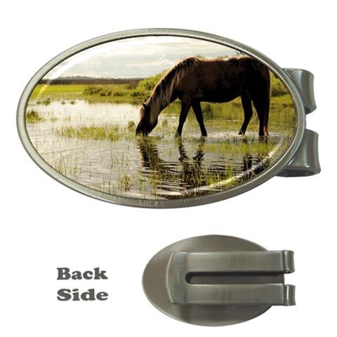 Horse in the Water Money Clip (Oval) from ArtsNow.com Front