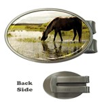 Horse in the Water Money Clip (Oval)