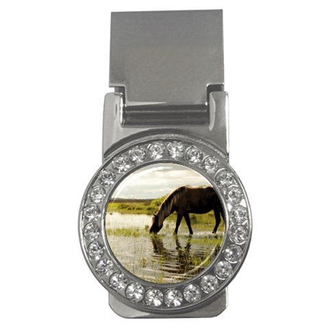 Horse in the Water Money Clip (CZ) from ArtsNow.com Front