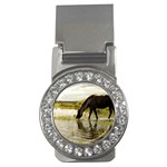 Horse in the Water Money Clip (CZ)