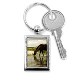 Horse in the Water Key Chain (Rectangle)