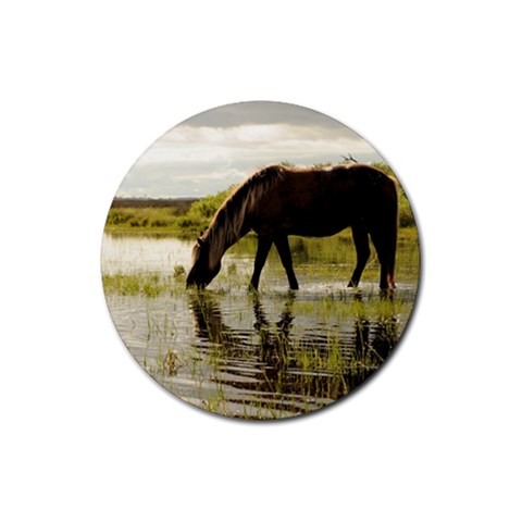 Horse in the Water Rubber Round Coaster (4 pack) from ArtsNow.com Front