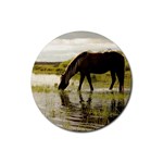 Horse in the Water Rubber Round Coaster (4 pack)