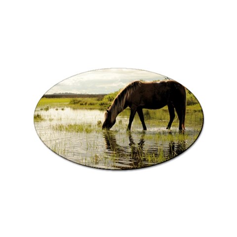 Horse in the Water Sticker (Oval) from ArtsNow.com Front