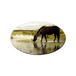 Horse in the Water Sticker (Oval)