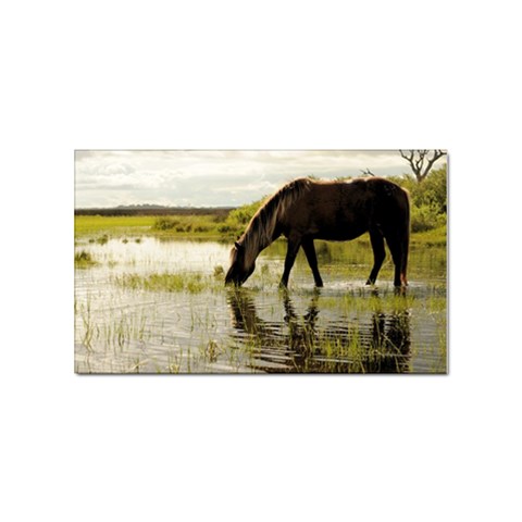 Horse in the Water Sticker (Rectangular) from ArtsNow.com Front