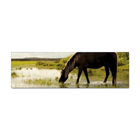 Horse in the Water Sticker (Bumper) from ArtsNow.com Front