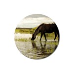 Horse in the Water Magnet 3  (Round)