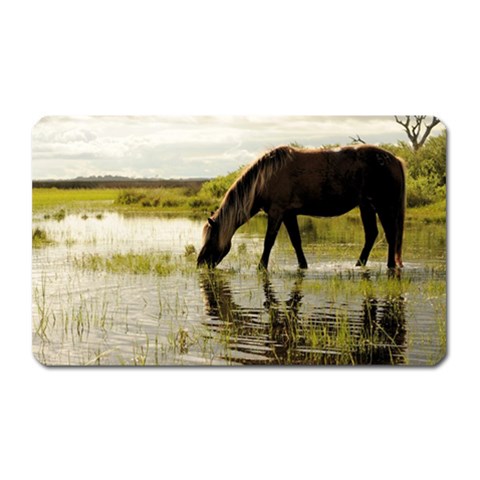 Horse in the Water Magnet (Rectangular) from ArtsNow.com Front