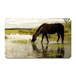 Horse in the Water Magnet (Rectangular)