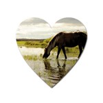 Horse in the Water Magnet (Heart)