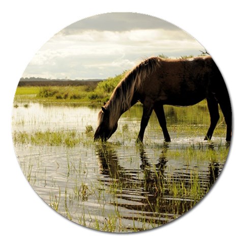 Horse in the Water Magnet 5  (Round) from ArtsNow.com Front