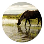 Horse in the Water Magnet 5  (Round)