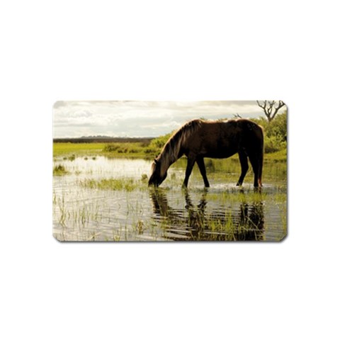 Horse in the Water Magnet (Name Card) from ArtsNow.com Front