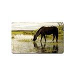 Horse in the Water Magnet (Name Card)