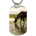 Horse in the Water Dog Tag (One Side)