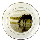 Horse in the Water Porcelain Plate