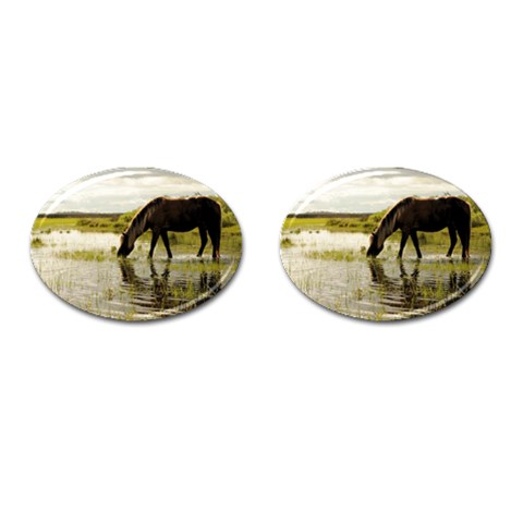 Horse in the Water Cufflinks (Oval) from ArtsNow.com Front(Pair)