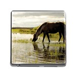 Horse in the Water Memory Card Reader with Storage (Square)