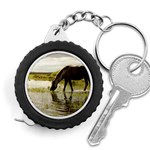 Horse in the Water Measuring Tape