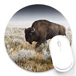 Buffalo Round Mousepad