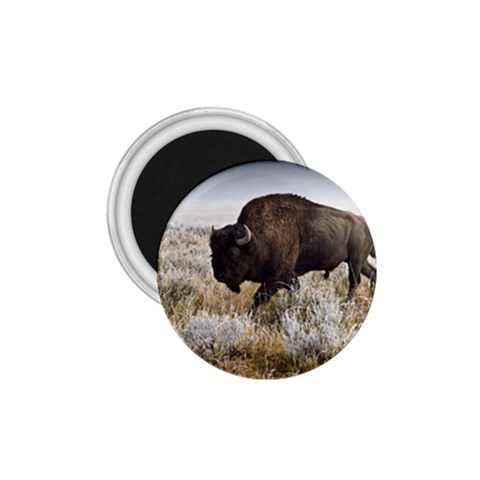 Buffalo 1.75  Magnet from ArtsNow.com Front