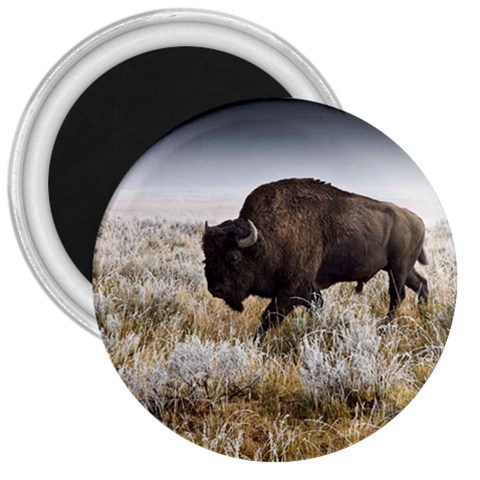 Buffalo 3  Magnet from ArtsNow.com Front