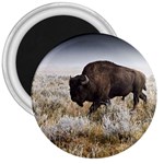 Buffalo 3  Magnet