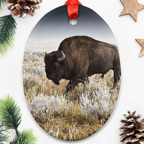 Buffalo Ornament (Oval) from ArtsNow.com Front