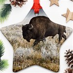 Buffalo Ornament (Star)