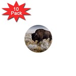 Buffalo 1  Mini Button (10 pack) 