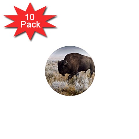 Buffalo 1  Mini Magnet (10 pack)  from ArtsNow.com Front