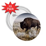 Buffalo 2.25  Button (10 pack)