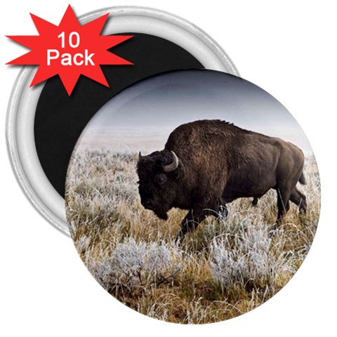 Buffalo 3  Magnet (10 pack) from ArtsNow.com Front