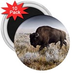 Buffalo 3  Magnet (10 pack)