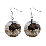 Buffalo 1  Button Earrings