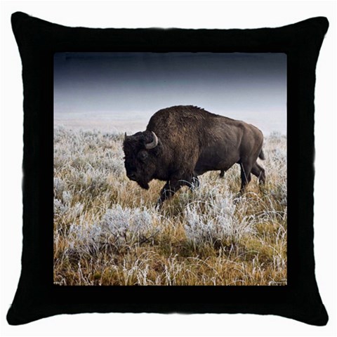 Buffalo Throw Pillow Case (Black) from ArtsNow.com Front