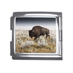 Buffalo Mega Link Italian Charm (18mm)