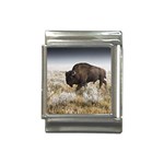 Buffalo Italian Charm (13mm)