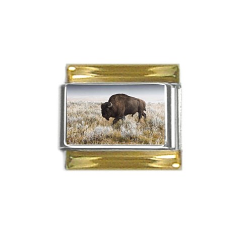 Buffalo Gold Trim Italian Charm (9mm) from ArtsNow.com Front